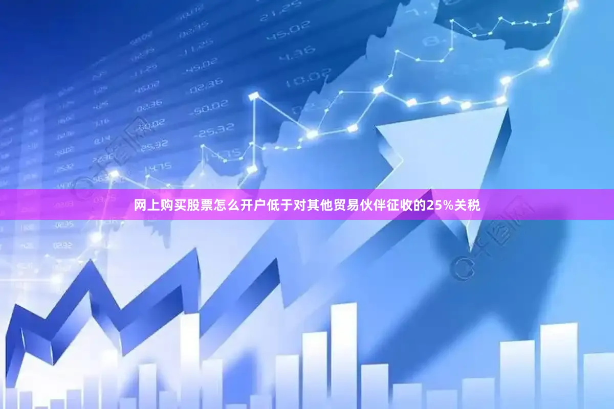 网上购买股票怎么开户低于对其他贸易伙伴征收的25%关税