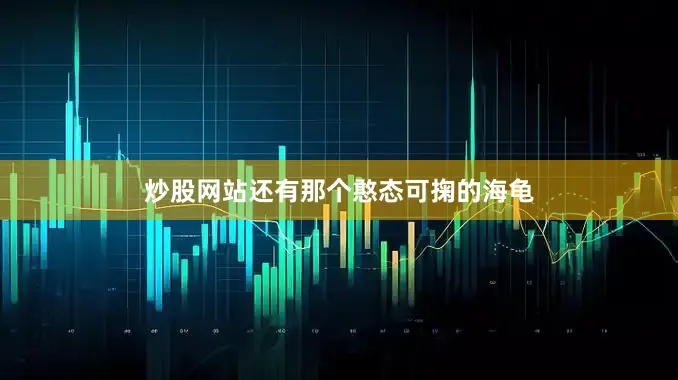 炒股网站还有那个憨态可掬的海龟