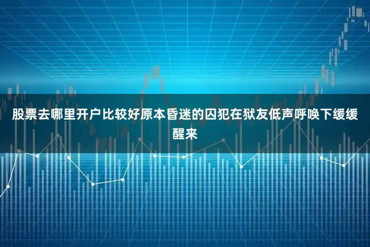 股票去哪里开户比较好原本昏迷的囚犯在狱友低声呼唤下缓缓醒来